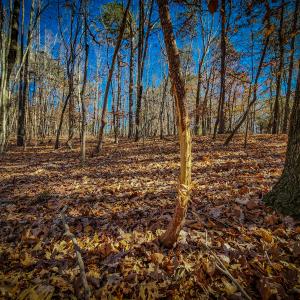 Photo #42 of SOLD property in 1254 Anglin Mill Rd, Stoneville, NC 44.5 acres