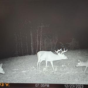 Photo #43 of SOLD property in 1254 Anglin Mill Rd, Stoneville, NC 44.5 acres