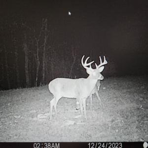 Photo #44 of SOLD property in 1254 Anglin Mill Rd, Stoneville, NC 44.5 acres