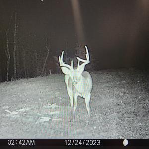 Photo #46 of SOLD property in 1254 Anglin Mill Rd, Stoneville, NC 44.5 acres