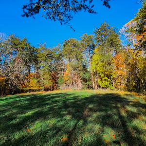 Photo #47 of SOLD property in 1254 Anglin Mill Rd, Stoneville, NC 44.5 acres