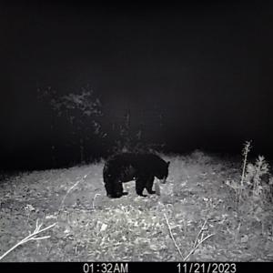 Photo #48 of SOLD property in 1254 Anglin Mill Rd, Stoneville, NC 44.5 acres