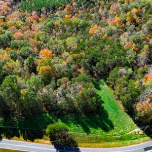 Photo #49 of SOLD property in 1254 Anglin Mill Rd, Stoneville, NC 44.5 acres