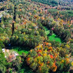 Photo #51 of SOLD property in 1254 Anglin Mill Rd, Stoneville, NC 44.5 acres