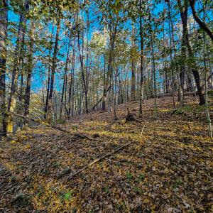 Photo #53 of SOLD property in 1254 Anglin Mill Rd, Stoneville, NC 44.5 acres