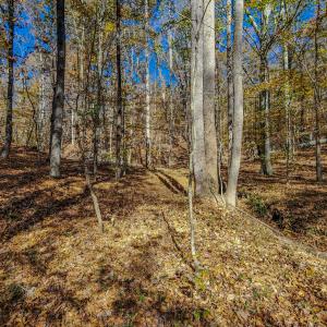 Photo #54 of SOLD property in 1254 Anglin Mill Rd, Stoneville, NC 44.5 acres