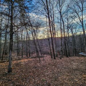 Photo #61 of SOLD property in 1254 Anglin Mill Rd, Stoneville, NC 44.5 acres