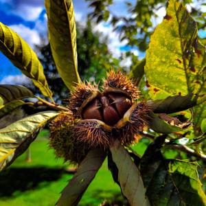 Photo #64 of SOLD property in 1254 Anglin Mill Rd, Stoneville, NC 44.5 acres