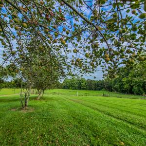 Photo #65 of SOLD property in 1254 Anglin Mill Rd, Stoneville, NC 44.5 acres