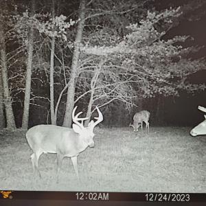 Photo #87 of SOLD property in 1254 Anglin Mill Rd, Stoneville, NC 44.5 acres