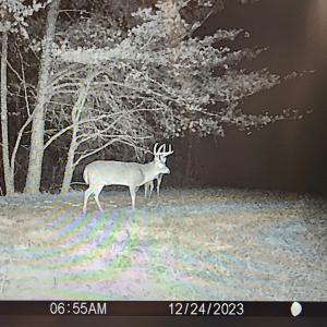 Photo #88 of SOLD property in 1254 Anglin Mill Rd, Stoneville, NC 44.5 acres