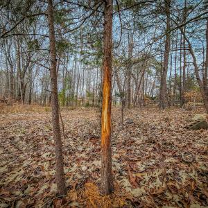 Photo #90 of SOLD property in 1254 Anglin Mill Rd, Stoneville, NC 44.5 acres