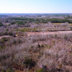 Photo #7 of SOLD property in Off Reed Road, South Hill, VA 59.6 acres