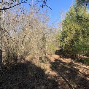 Photo #9 of SOLD property in Off Reed Road, South Hill, VA 59.6 acres