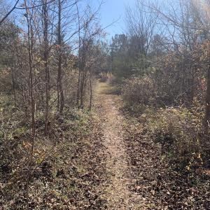 Photo #10 of SOLD property in Off Reed Road, South Hill, VA 59.6 acres
