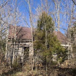 Photo #11 of SOLD property in Off Reed Road, South Hill, VA 59.6 acres