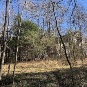Photo #12 of SOLD property in Off Reed Road, South Hill, VA 59.6 acres