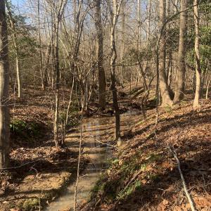 Photo #13 of SOLD property in Off Reed Road, South Hill, VA 59.6 acres