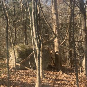 Photo #15 of SOLD property in Off Reed Road, South Hill, VA 59.6 acres
