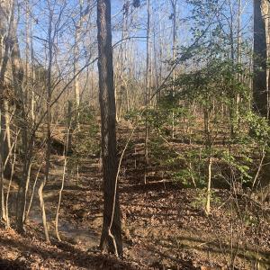 Photo #16 of SOLD property in Off Reed Road, South Hill, VA 59.6 acres