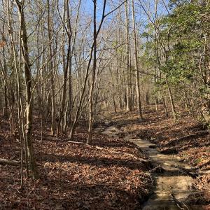 Photo #24 of SOLD property in Off Reed Road, South Hill, VA 59.6 acres