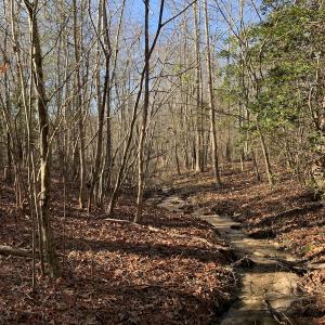 Photo #24 of Off Reed Road, South Hill, VA 59.6 acres
