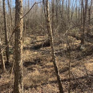 Photo #27 of SOLD property in Off Reed Road, South Hill, VA 59.6 acres
