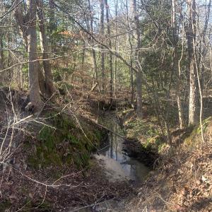 Photo #28 of SOLD property in Off Reed Road, South Hill, VA 59.6 acres