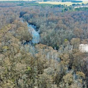 Photo #16 of SOLD property in Off Halls Creek Rd, Elizabeth City, NC 75.6 acres
