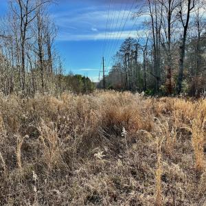 Photo #19 of SOLD property in Off Halls Creek Rd, Elizabeth City, NC 75.6 acres