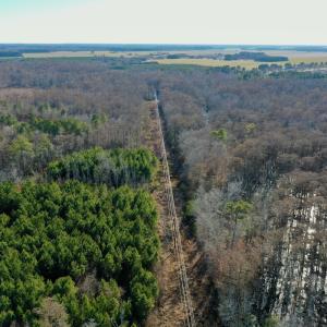 Photo #20 of SOLD property in Off Halls Creek Rd, Elizabeth City, NC 75.6 acres