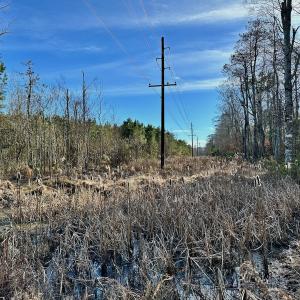 Photo #21 of SOLD property in Off Halls Creek Rd, Elizabeth City, NC 75.6 acres