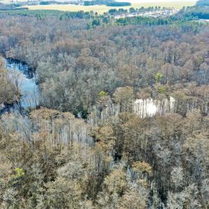 Photo #22 of SOLD property in Off Halls Creek Rd, Elizabeth City, NC 75.6 acres