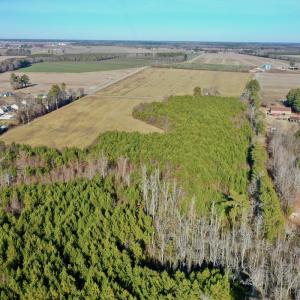 Photo #25 of SOLD property in Off Halls Creek Rd, Elizabeth City, NC 75.6 acres