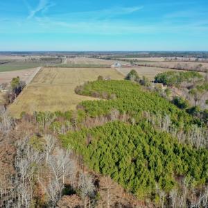 Photo #27 of SOLD property in Off Halls Creek Rd, Elizabeth City, NC 75.6 acres