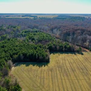 Photo #33 of SOLD property in Off Halls Creek Rd, Elizabeth City, NC 75.6 acres