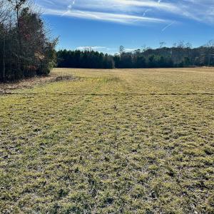 Photo #38 of SOLD property in Off Halls Creek Rd, Elizabeth City, NC 75.6 acres