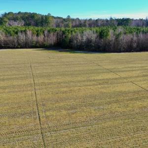 Photo #39 of SOLD property in Off Halls Creek Rd, Elizabeth City, NC 75.6 acres