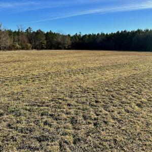 Photo #40 of SOLD property in Off Halls Creek Rd, Elizabeth City, NC 75.6 acres