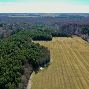 Photo #41 of SOLD property in Off Halls Creek Rd, Elizabeth City, NC 75.6 acres