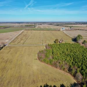 Photo #43 of SOLD property in Off Halls Creek Rd, Elizabeth City, NC 75.6 acres