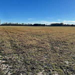 Photo #46 of SOLD property in Off Halls Creek Rd, Elizabeth City, NC 75.6 acres