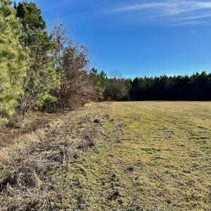 Photo #47 of SOLD property in Off Halls Creek Rd, Elizabeth City, NC 75.6 acres