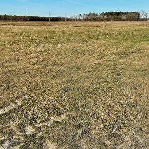 Photo #49 of SOLD property in Off Halls Creek Rd, Elizabeth City, NC 75.6 acres