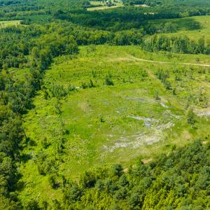 Photo #24 of Off NC Hwy 62 N, Burlington, NC 22.3 acres