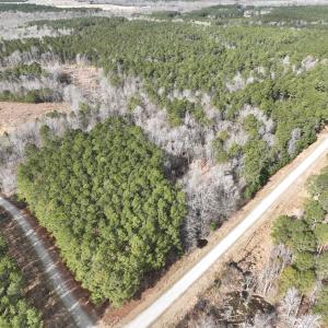 Photo #2 of 405 Batts Island Road, Edenton, NC 10.7 acres