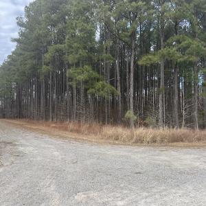 Photo #12 of 405 Batts Island Road, Edenton, NC 10.7 acres