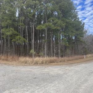 Photo #13 of 405 Batts Island Road, Edenton, NC 10.7 acres