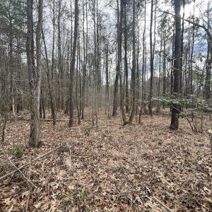 Photo #14 of 405 Batts Island Road, Edenton, NC 10.7 acres