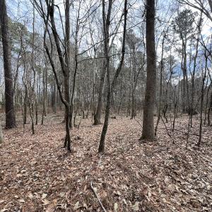 Photo #15 of 405 Batts Island Road, Edenton, NC 10.7 acres